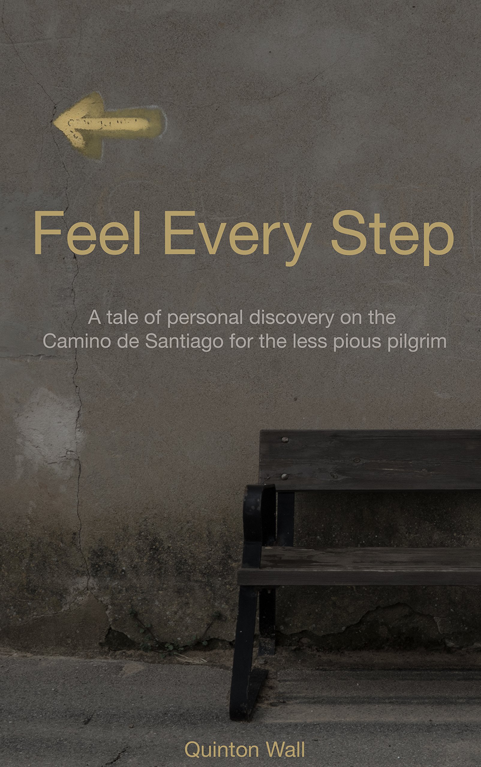 Feel Every Step cover