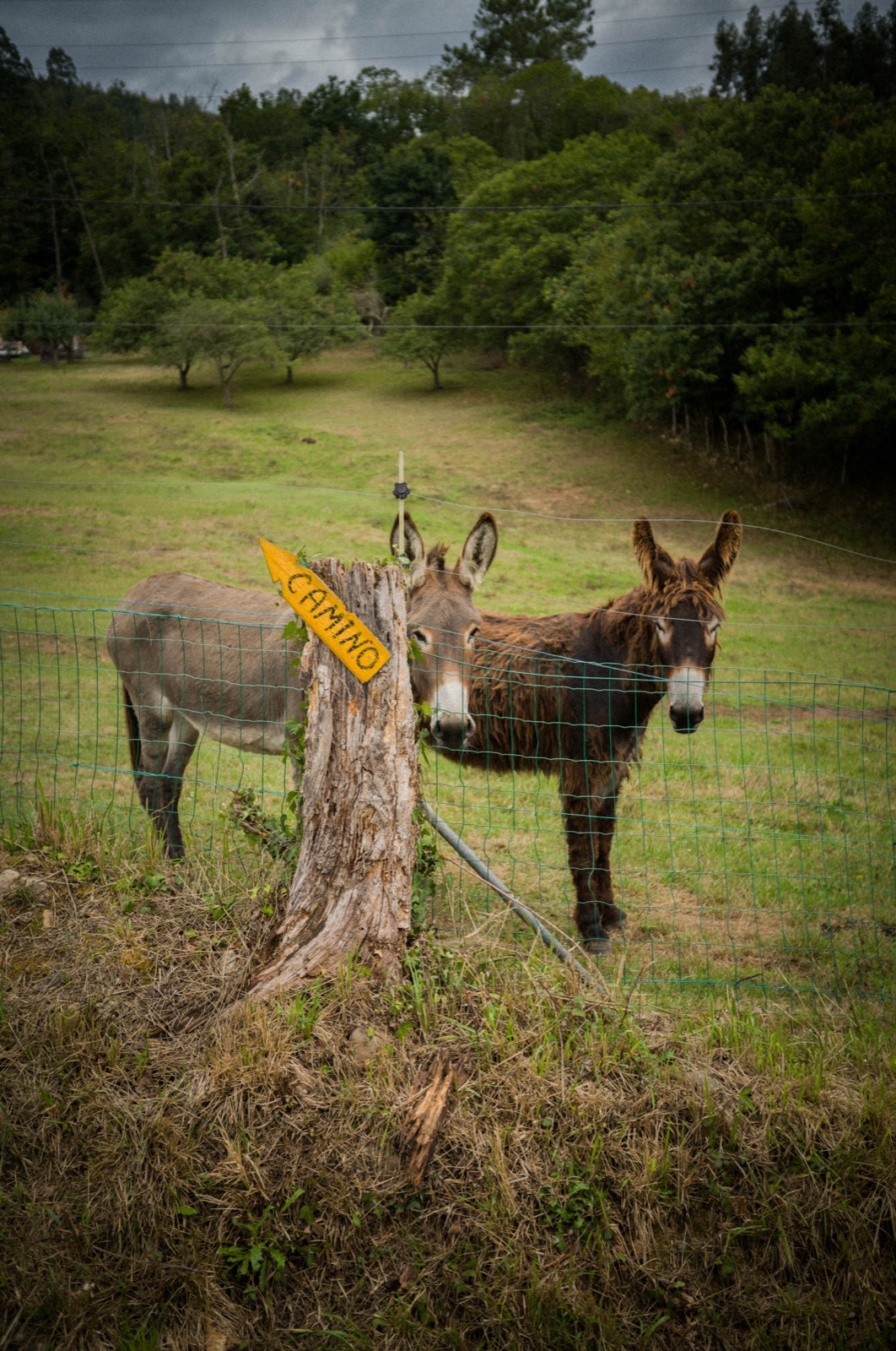 Photograph by Quinton Wall