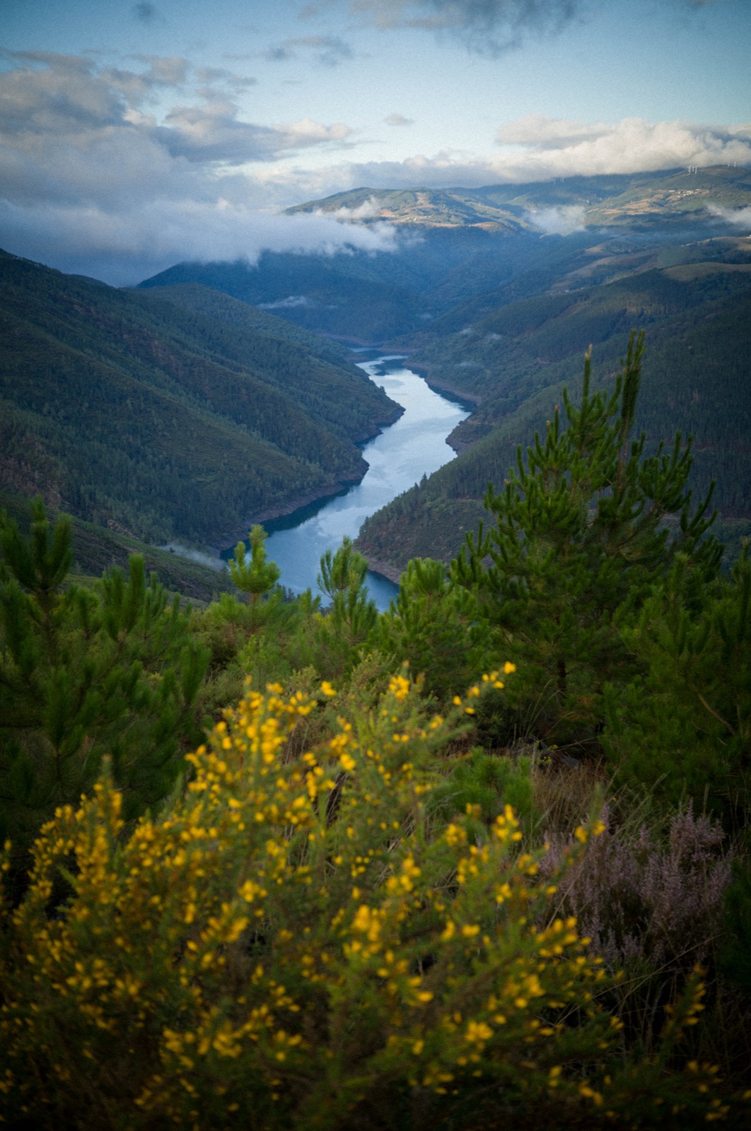 Photograph by Quinton Wall
