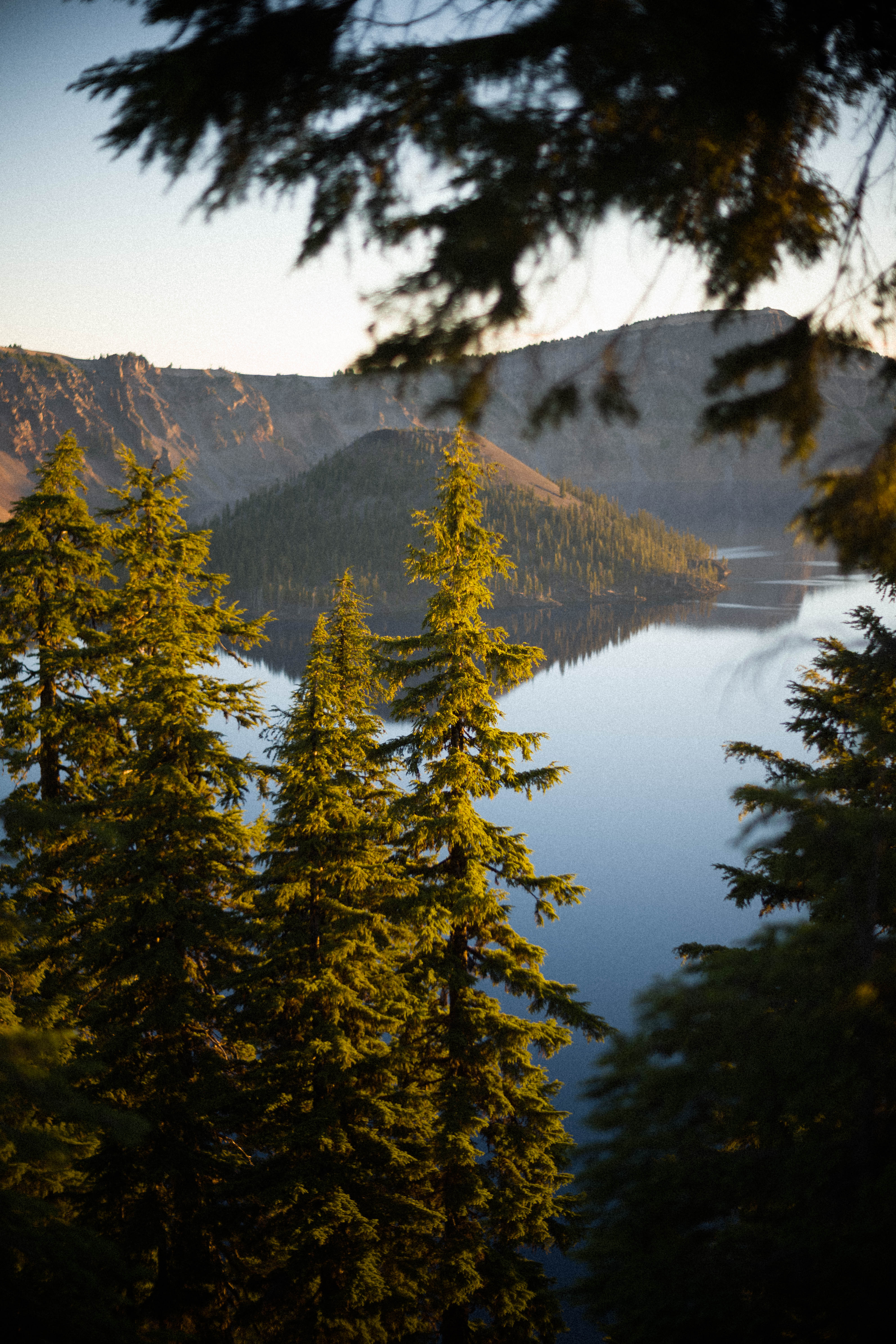 Crater Lake through the trees at golden hour, Wizard Island in the distance