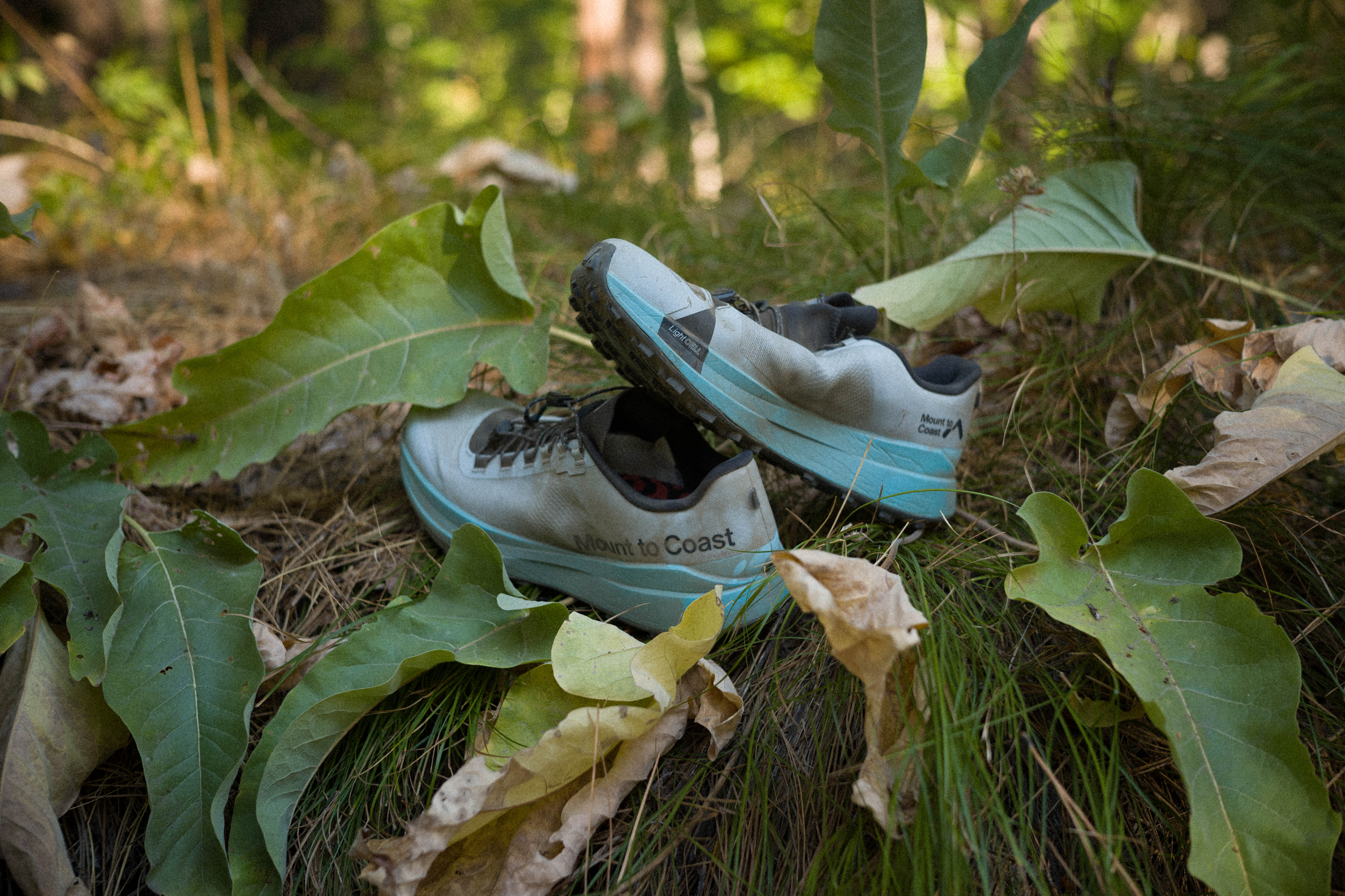 The Mount to Coast T1 shoes sitting among broad green and yellowing leaves on the forest floor, three-quarter view showing the upper and heel.