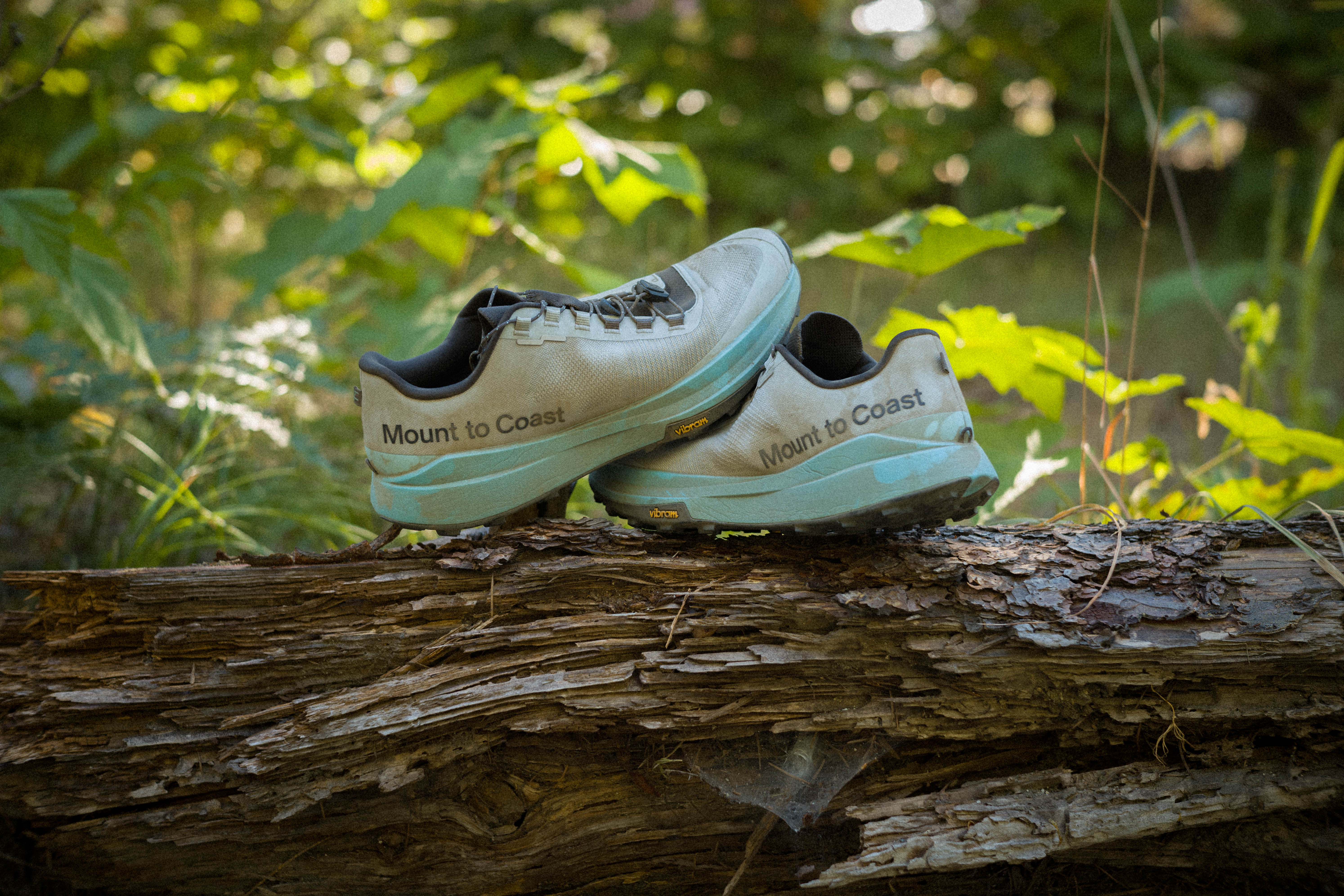 A pair of Mount to Coast T1 trail shoes in the Snow Line colorway resting on a mossy log in a green Cascades forest, side profile showing the ice-blue midsole and Vibram outsole.