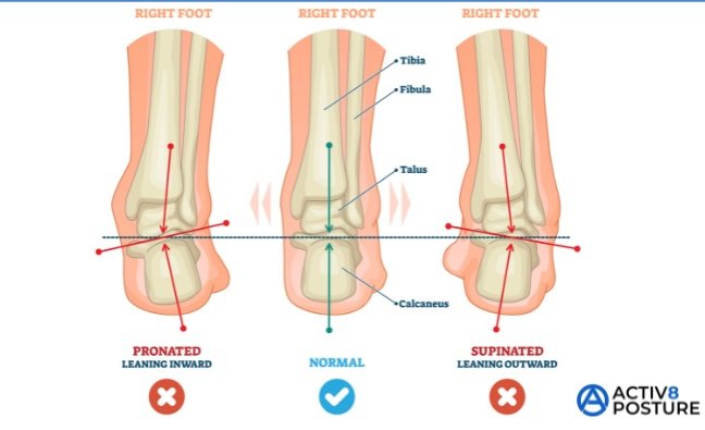 Understanding pronation and supination is key to choosing the right shoe for you