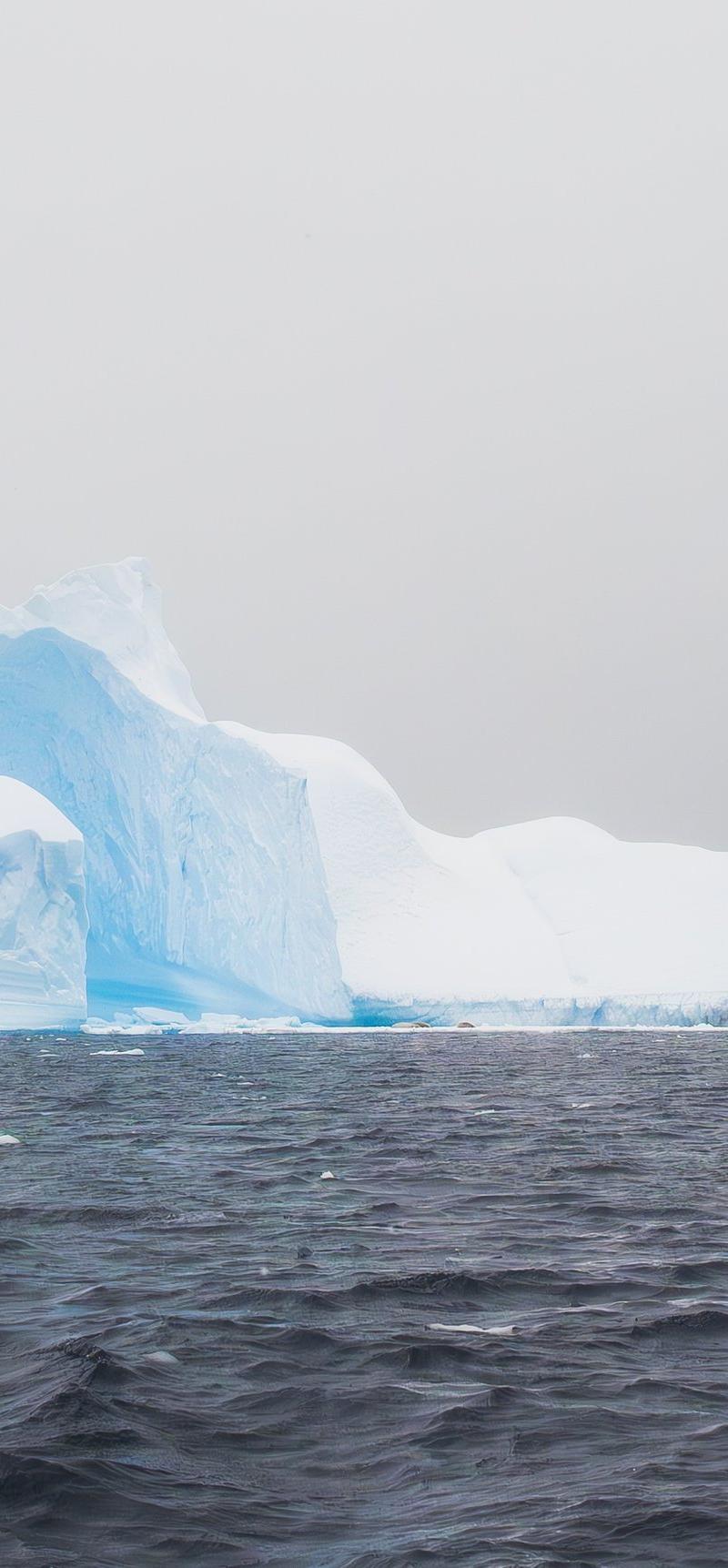 Antarctica