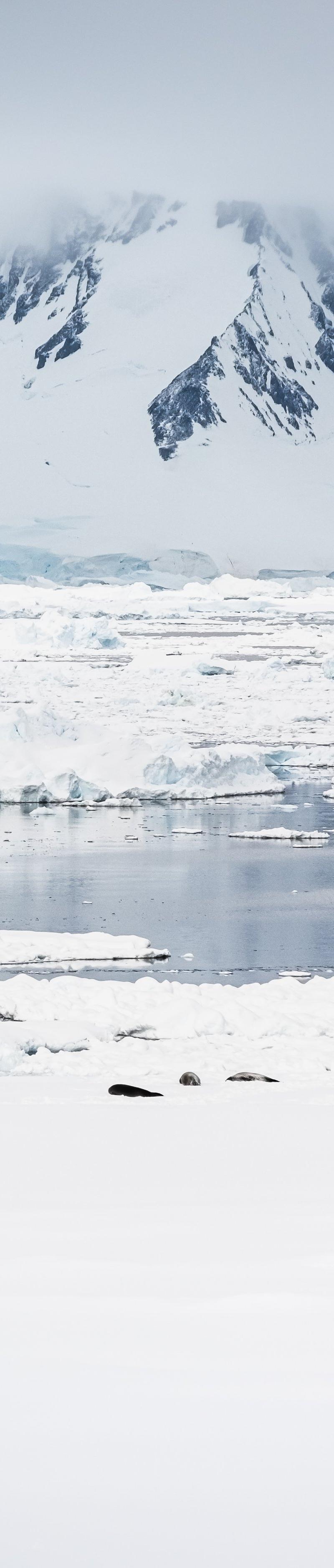 Antarctica