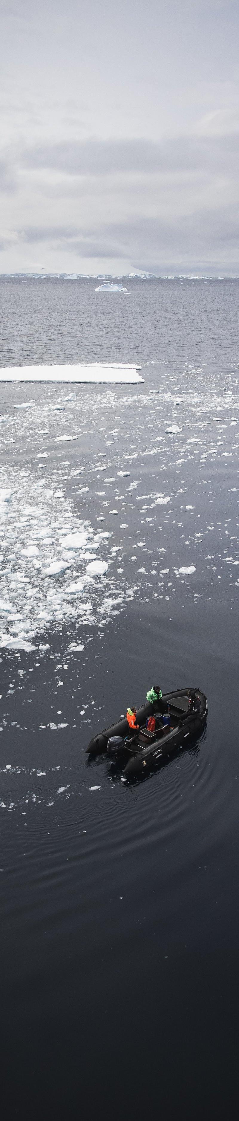 Antarctica