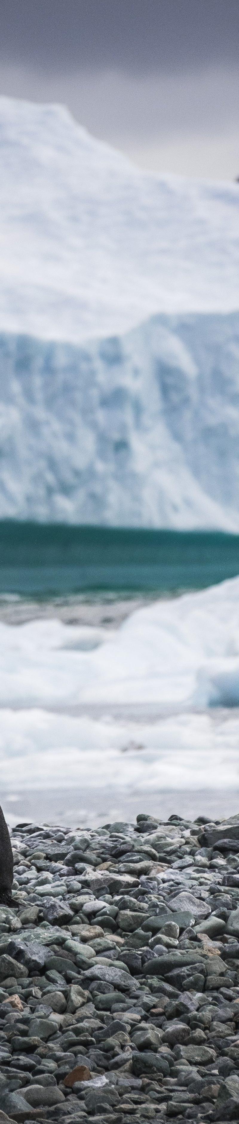 Antarctica
