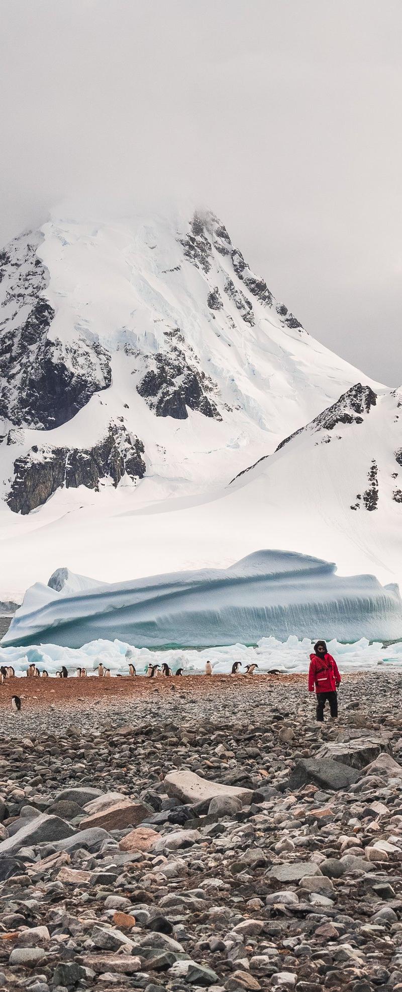 Antarctica