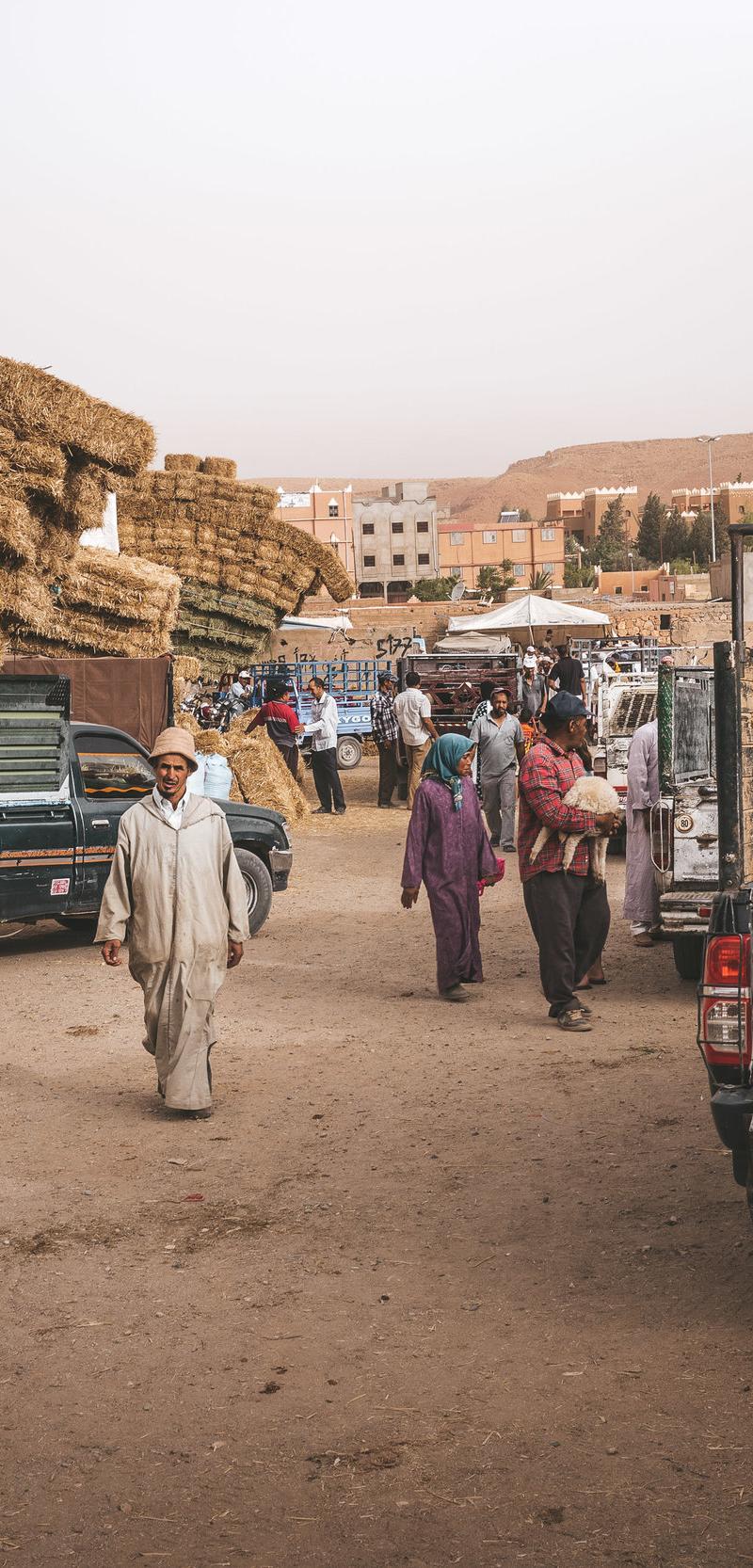 Atlas Mountains