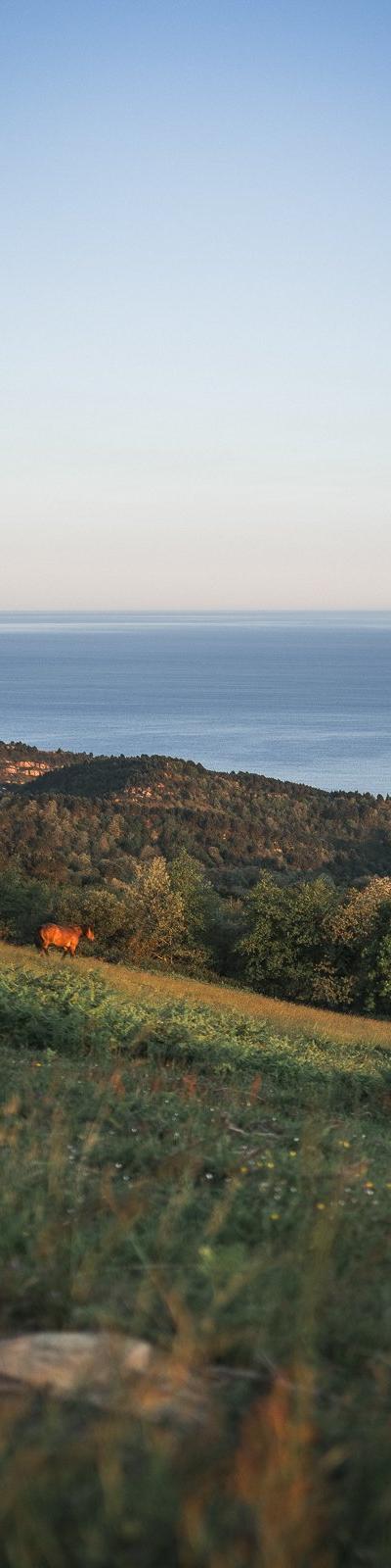 Camino del Norte