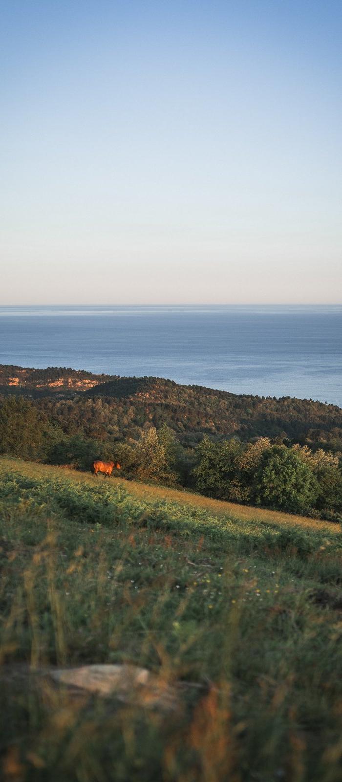 Camino del Norte