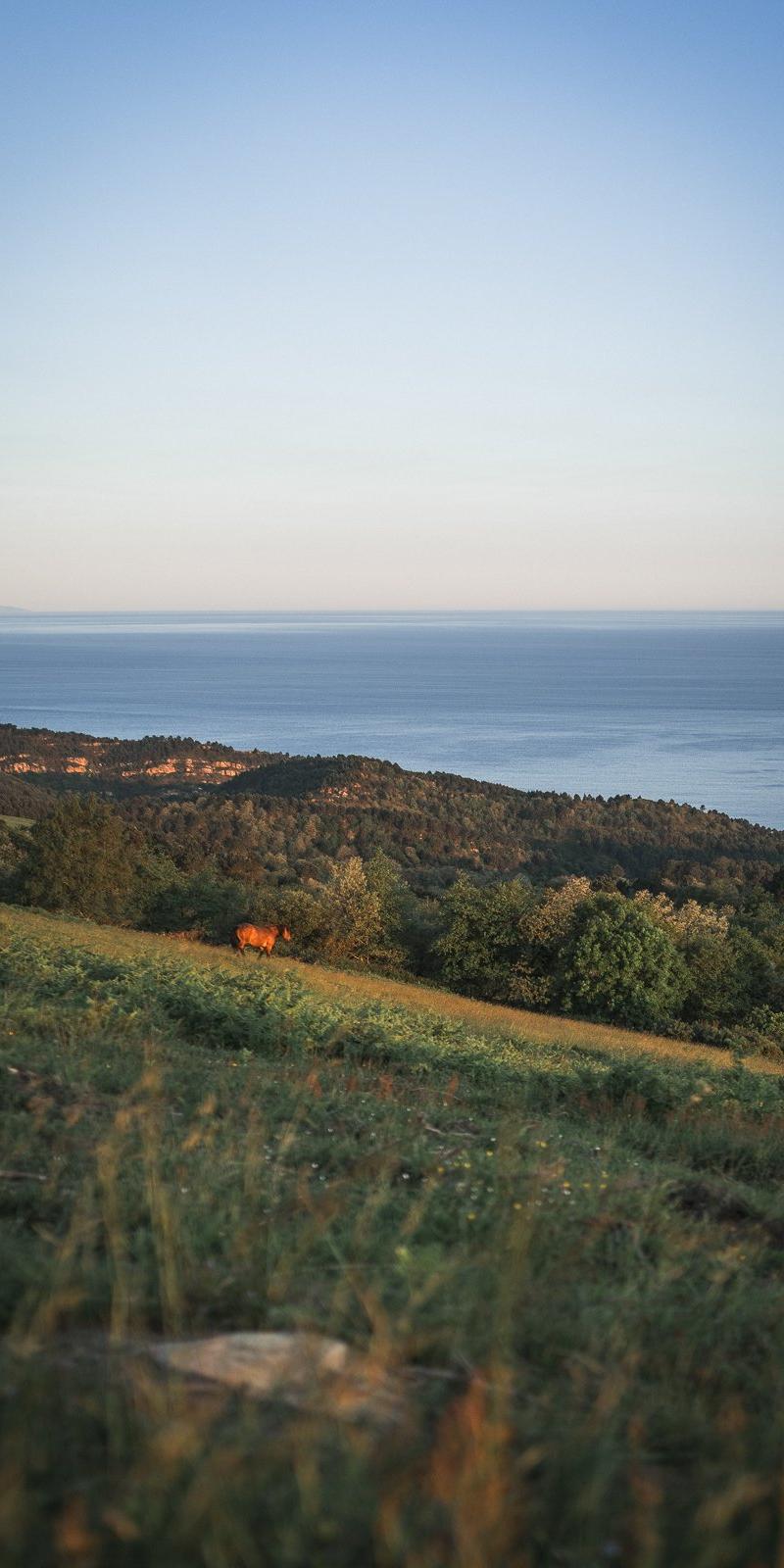 Camino del Norte