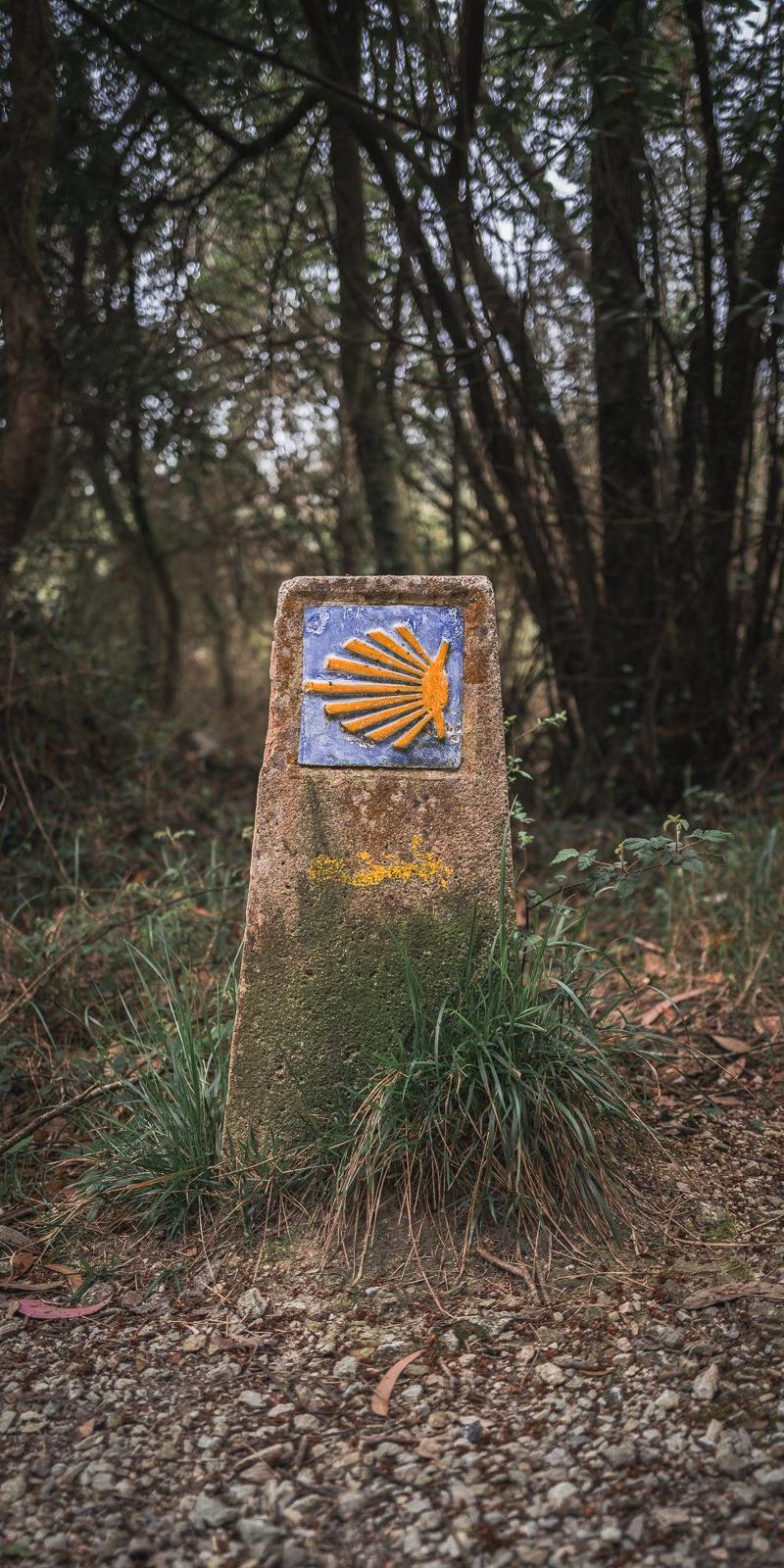 Camino del Norte