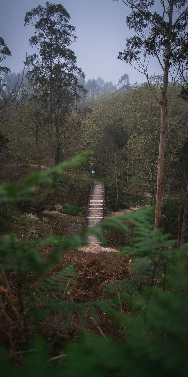 Camino del Norte
