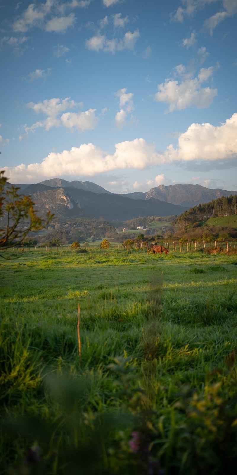 Camino del Norte
