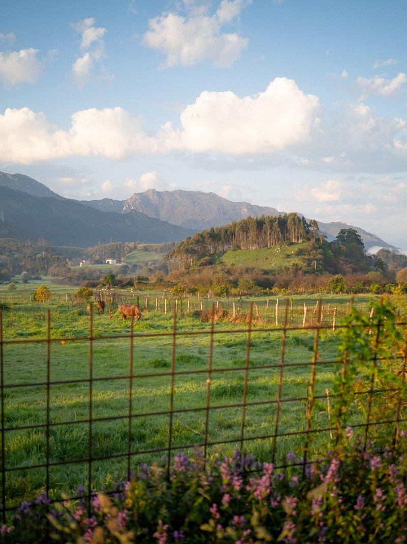 Camino del Norte