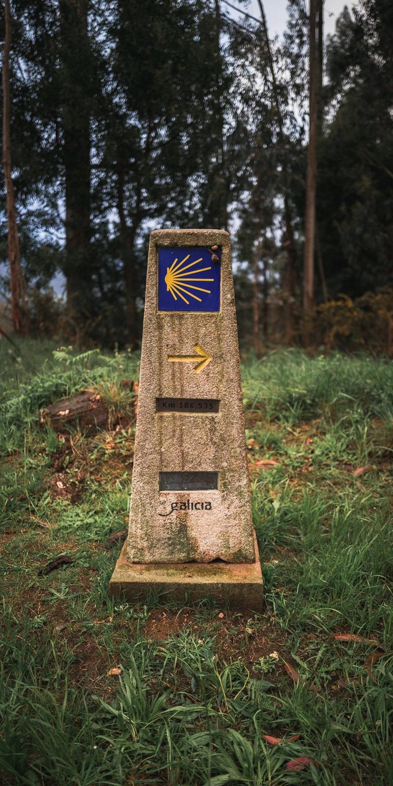 Camino del Norte