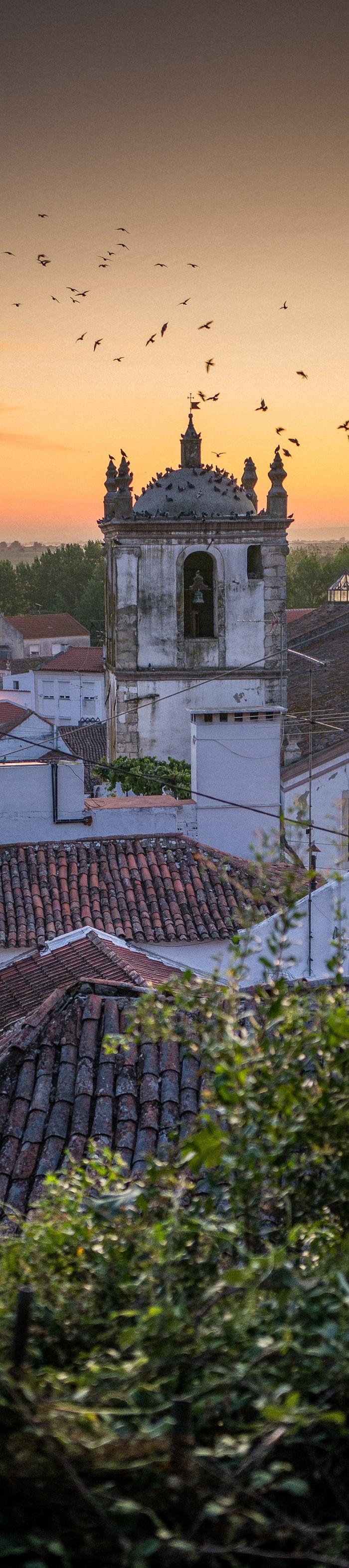 Camino Portugues