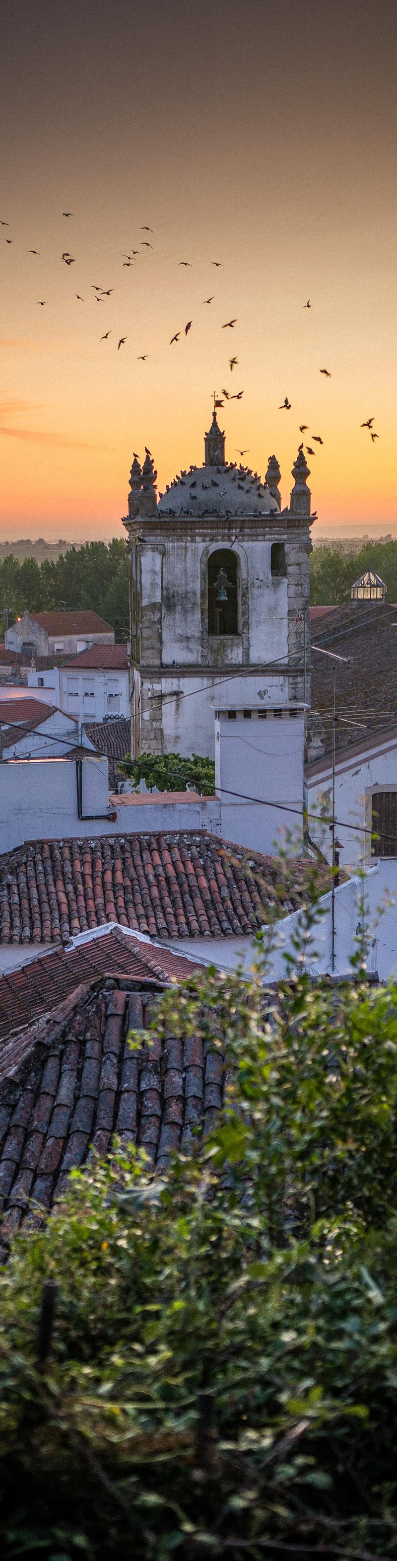 Camino Portugues