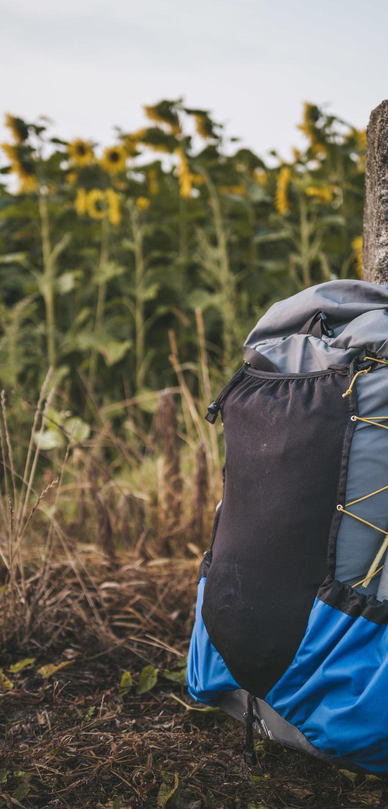 Camino Portugues