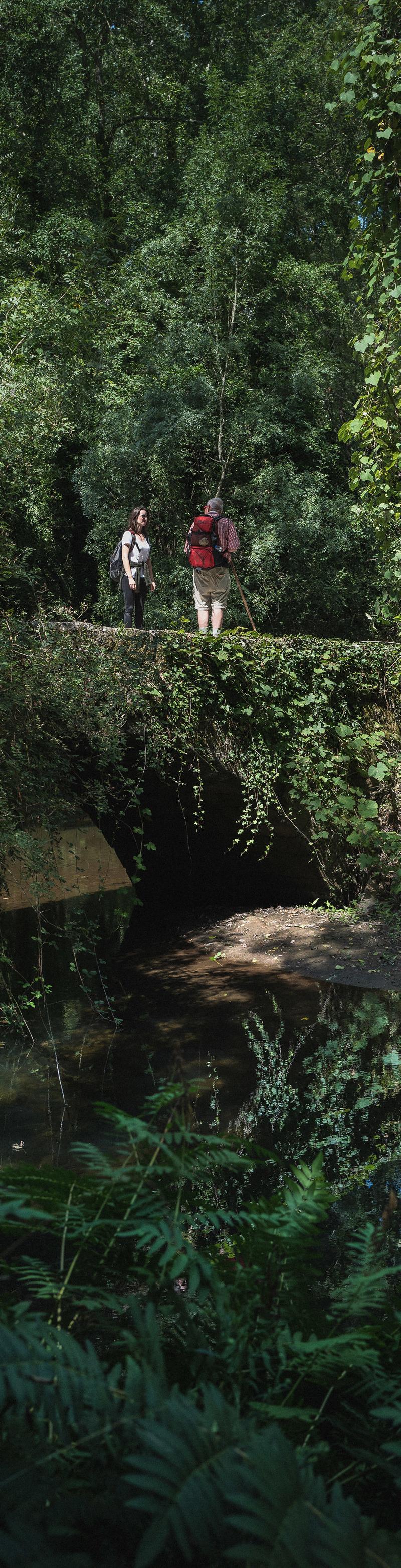 Camino Portugues