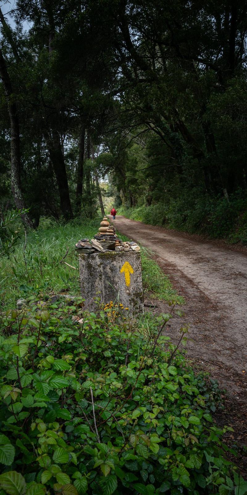 Camino Portuguese (Coastal)