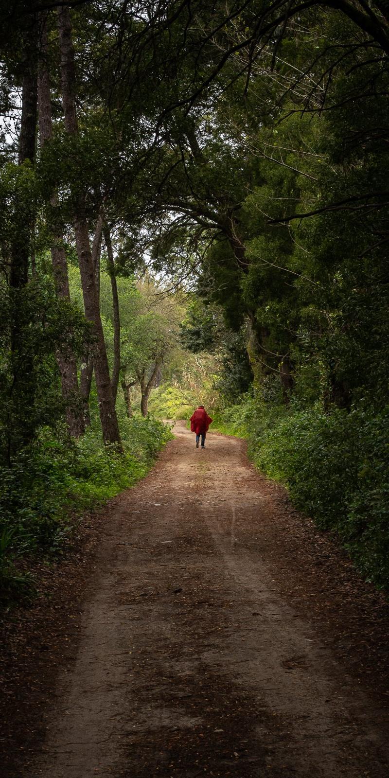 Camino Portuguese (Coastal)