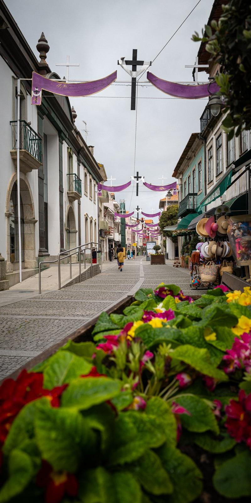Camino Portuguese (Coastal)