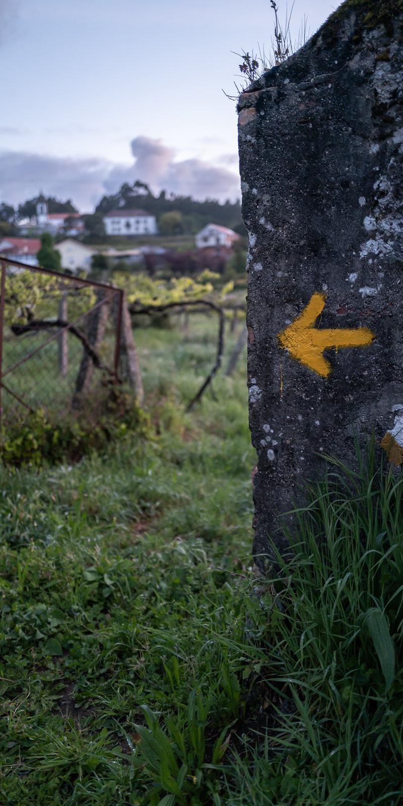 Camino Portuguese (Coastal)