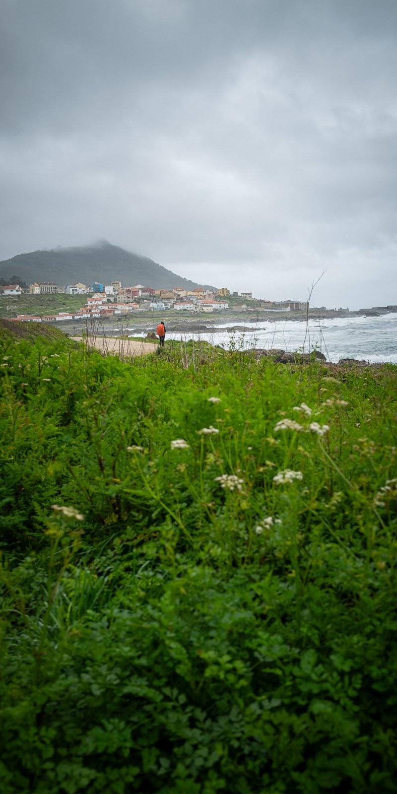 Camino Portuguese (Coastal)