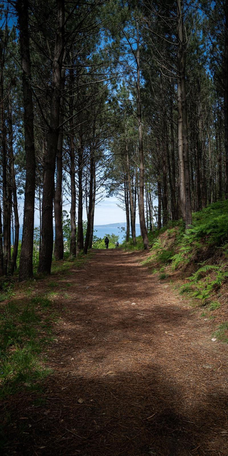 Camino Portuguese (Coastal)