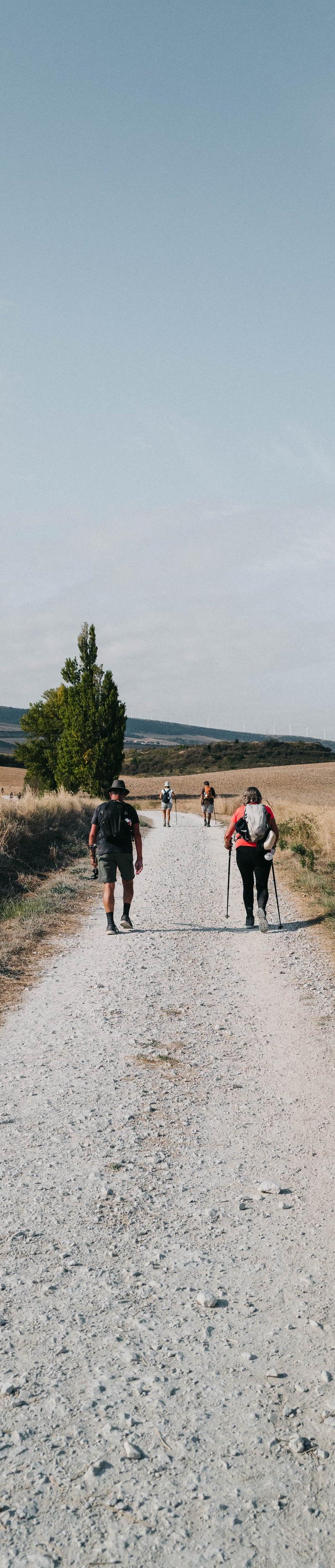 Covid Camino