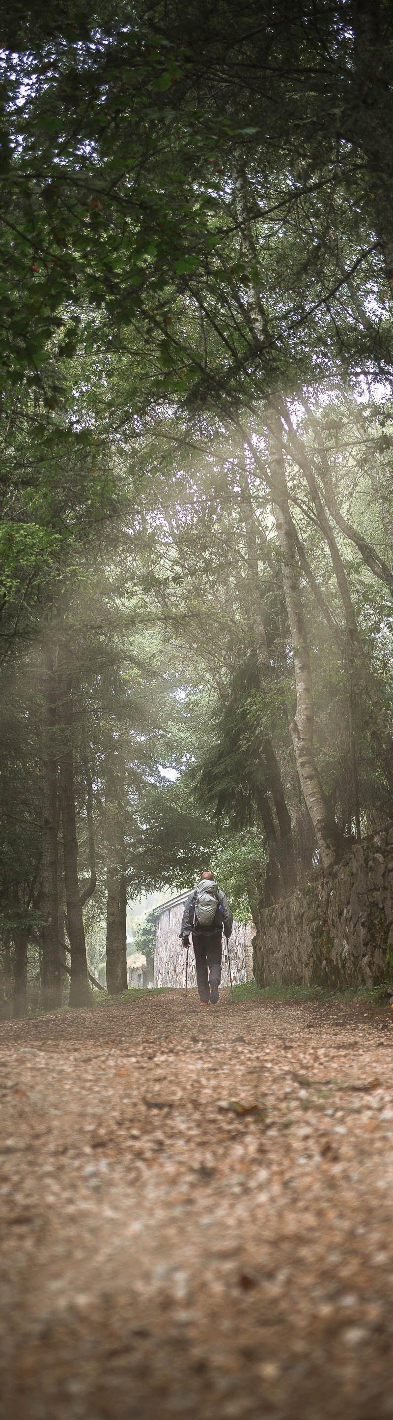 Covid Camino