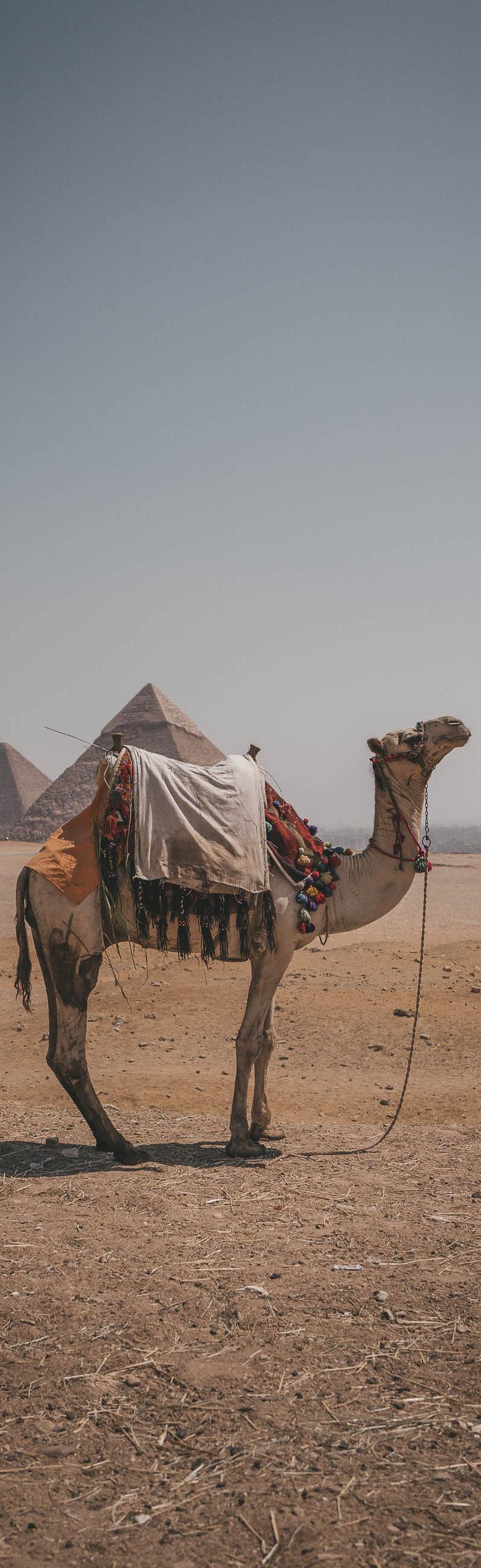 Egypt