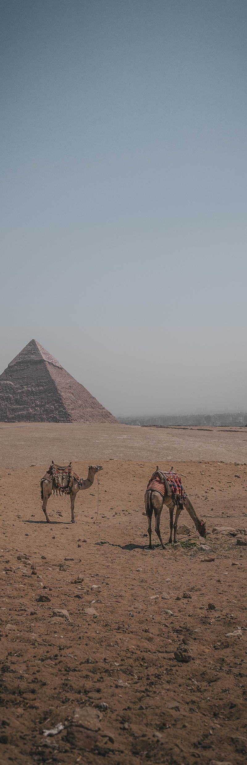 Egypt