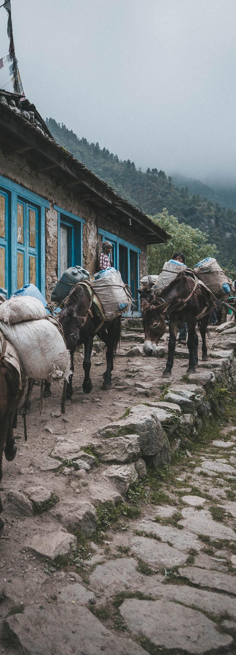 Everest Base Camp