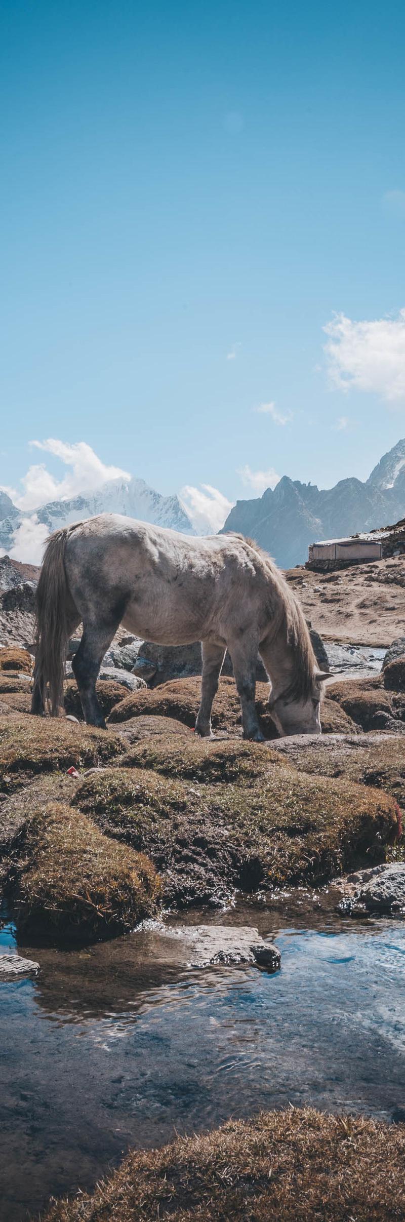 Everest Base Camp