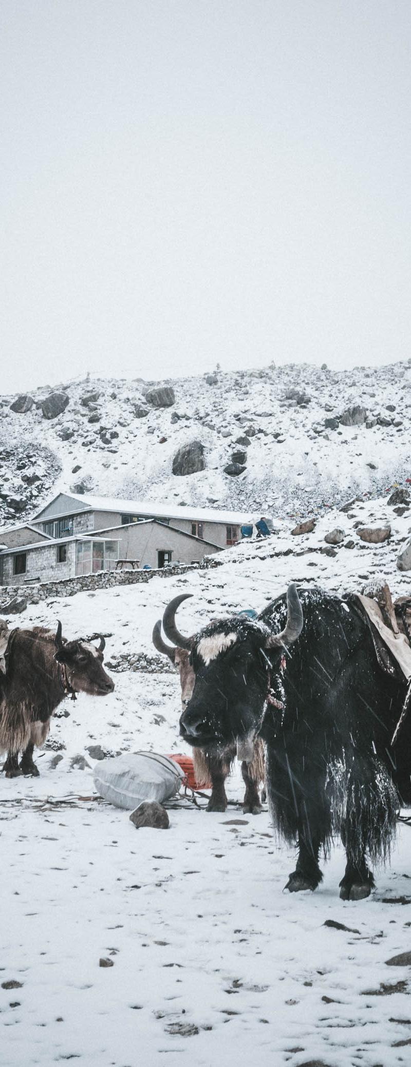 Everest Base Camp