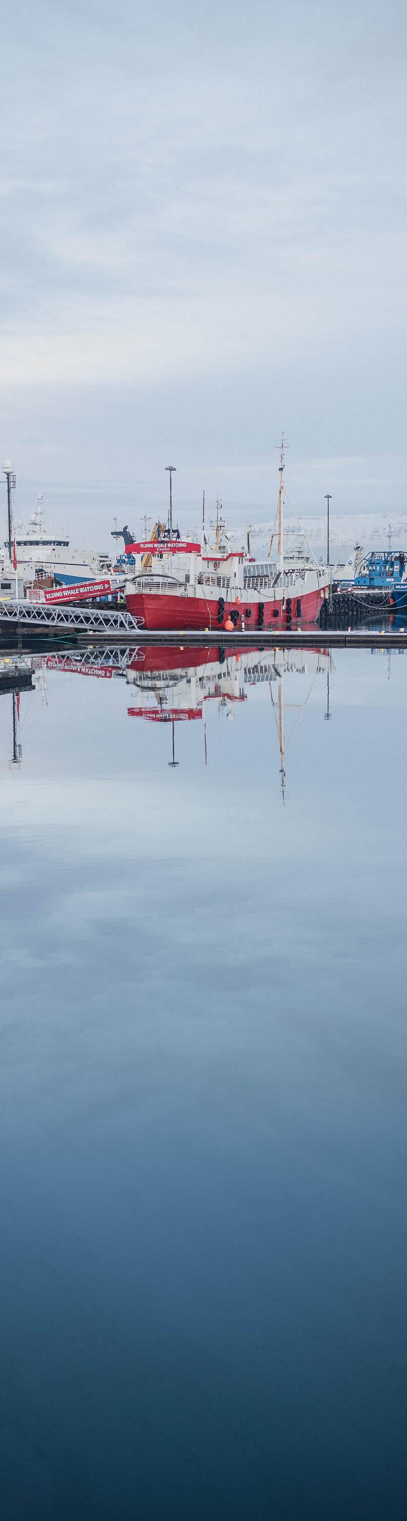 Iceland II