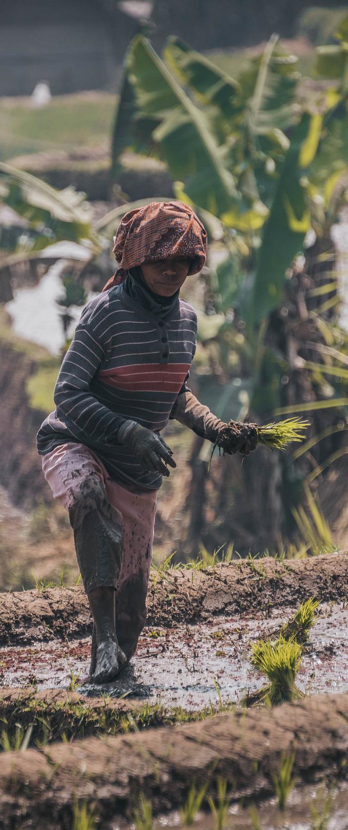 Indonesia