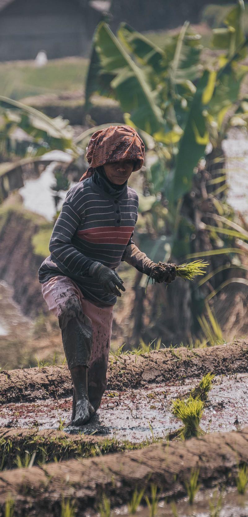 Indonesia