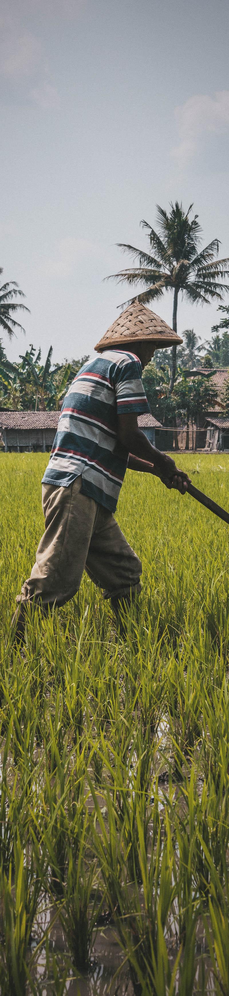 Indonesia