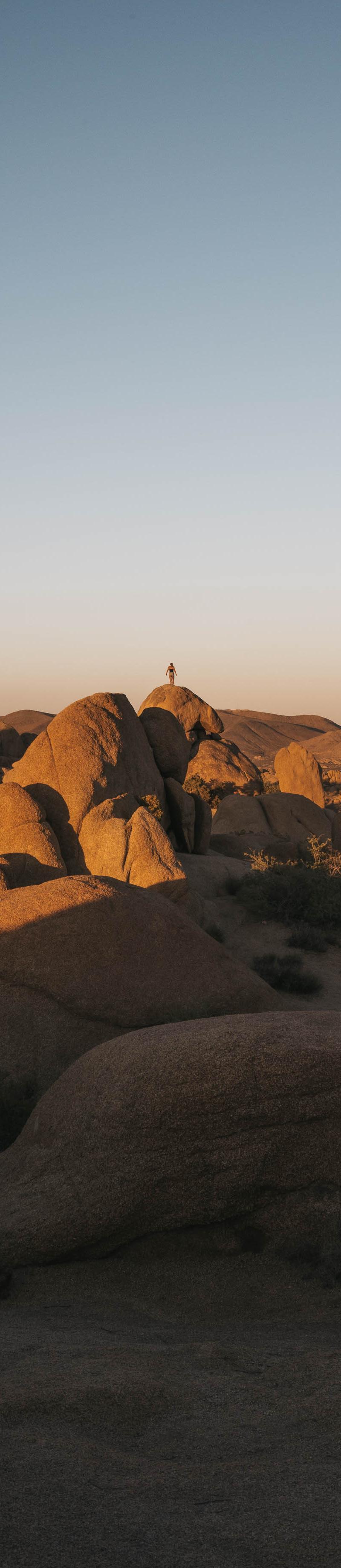 Joshua Tree