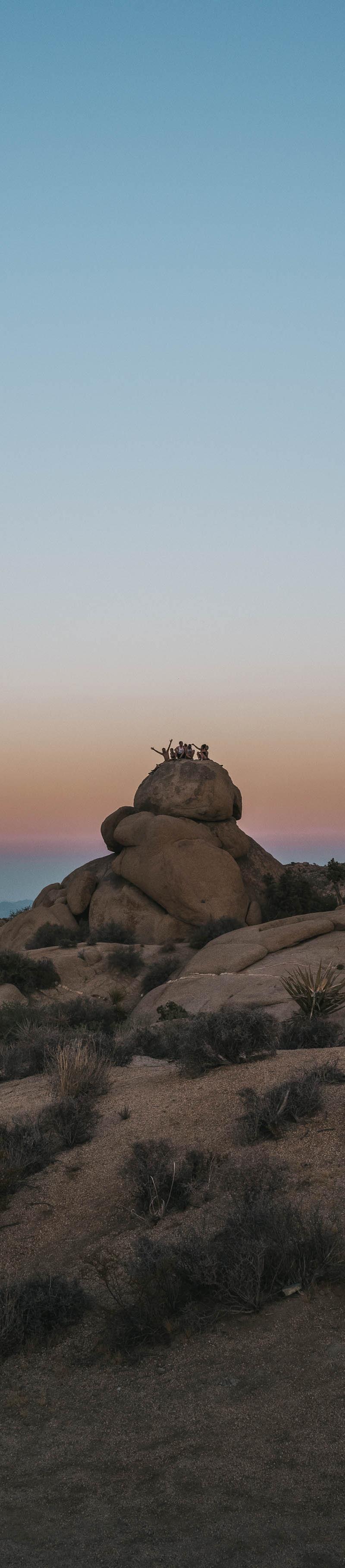 Joshua Tree
