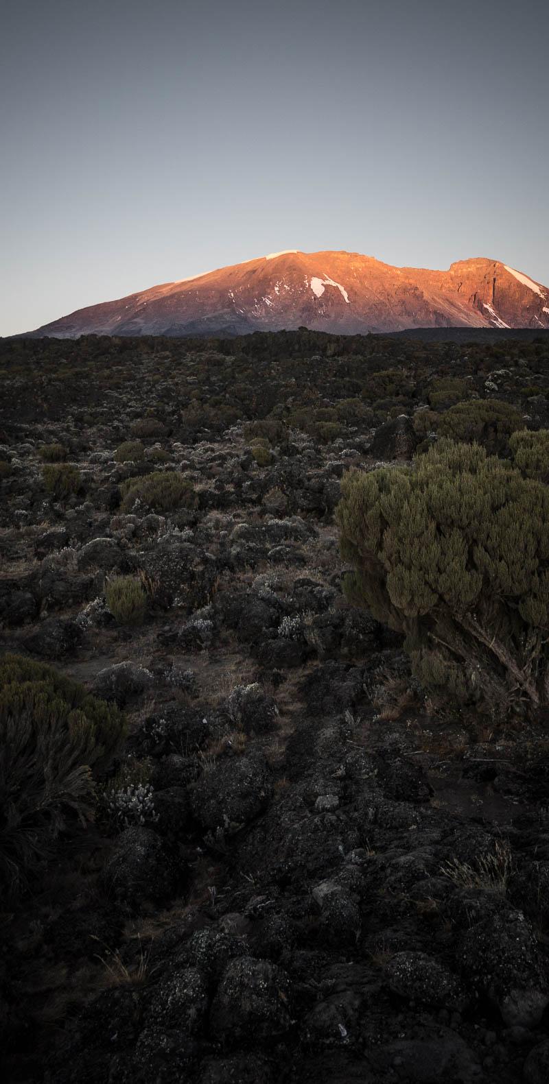 Kilimanjaro