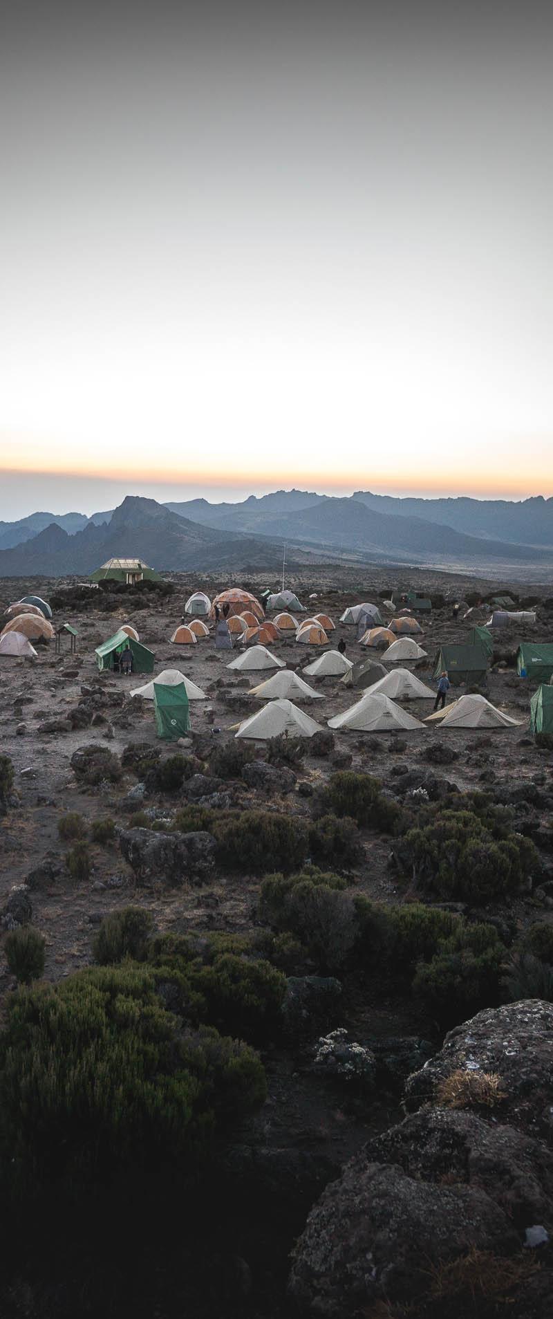 Kilimanjaro