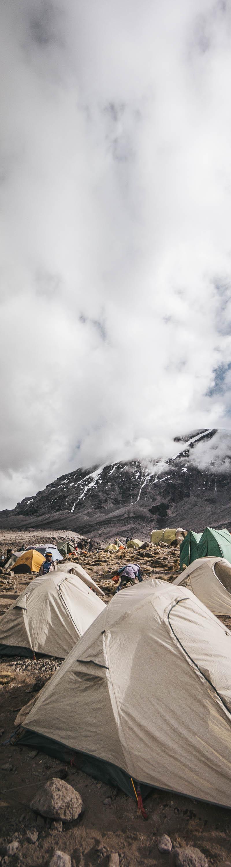 Kilimanjaro