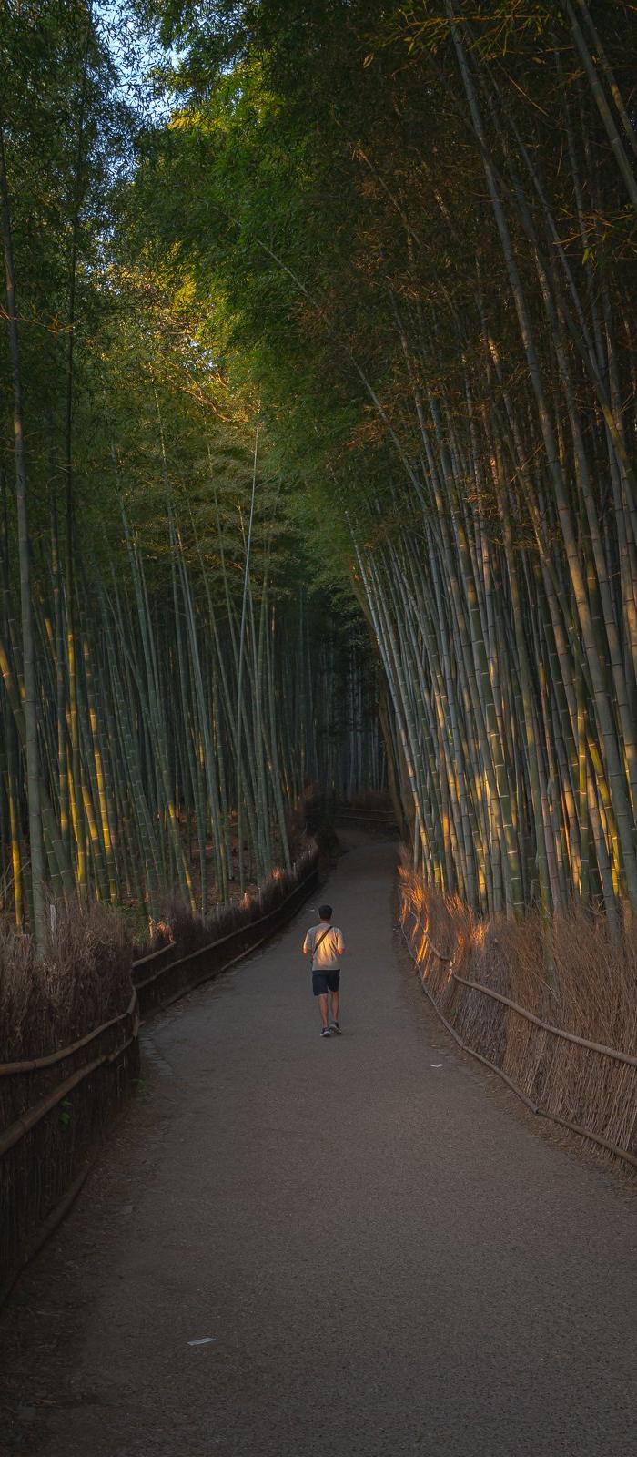 Kumano Kodo 2