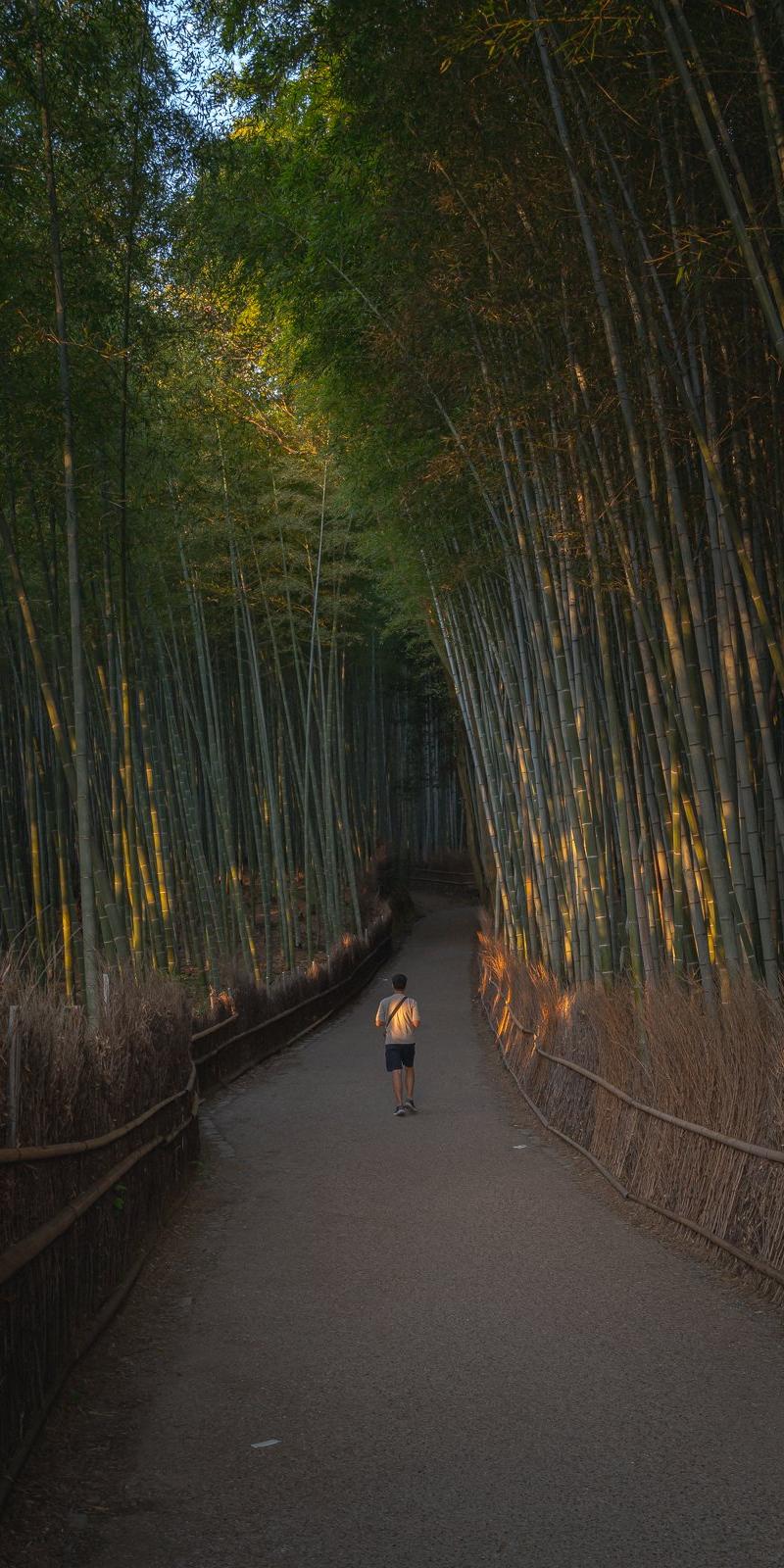 Kumano Kodo 2