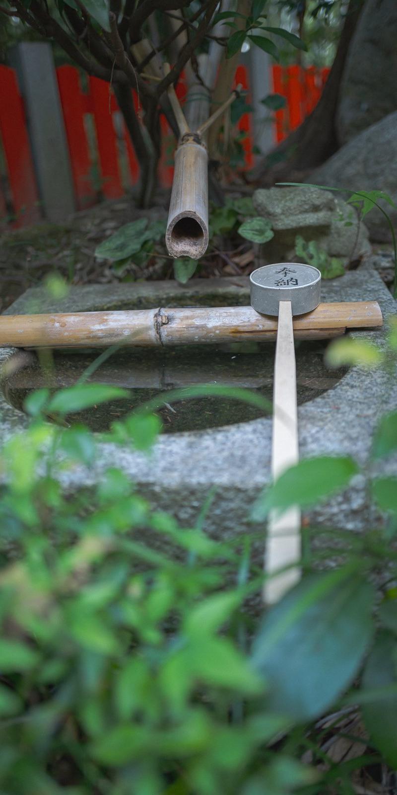 Kumano Kodo 2